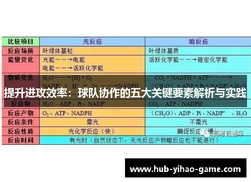 提升进攻效率：球队协作的五大关键要素解析与实践