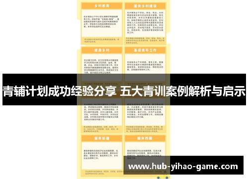 青辅计划成功经验分享 五大青训案例解析与启示